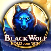 Tải X79 – Hướng dẫn cài đặt ứng dụng X79 nhanh chóng và an toàn