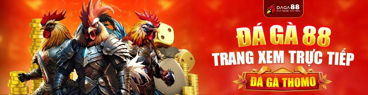 Đá gà trực tuyến X79 2026